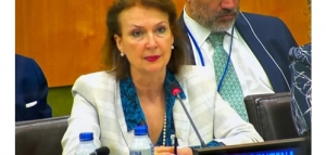 Mondino renovó el reclamo por las Malvinas en la ONU y dijo que buscan una “relación madura” con el Reino Unido