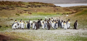 Defensa del Atlántico Sur y espacios alrededor de Malvinas