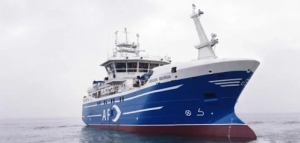 Se hundió un barco pesquero cerca de las Islas Malvinas: hay nueve muertos y al menos cuatro desaparecidos